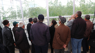 Bolulu çiftçiler Seracılık Mükemmeliyet Merkezi'ni gezdi