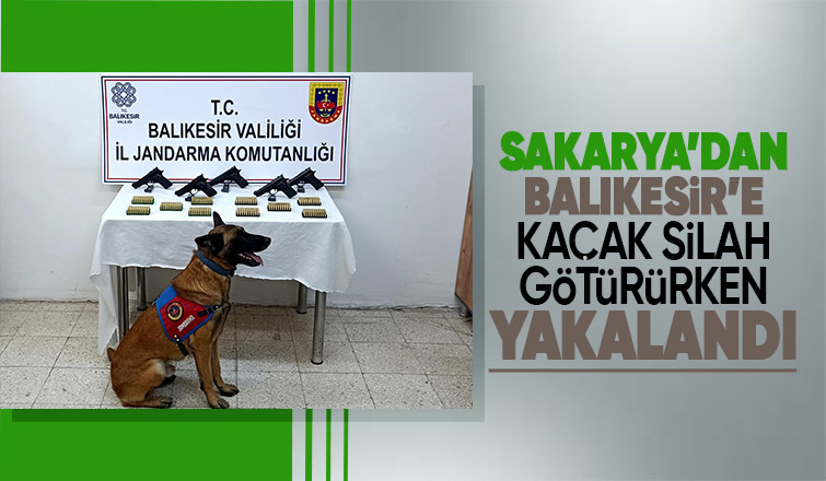 Bomba köpeği 'Vaha' kaçak silahları buldu
