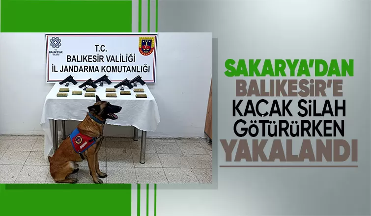 Bomba köpeği 'Vaha' kaçak silahları buldu