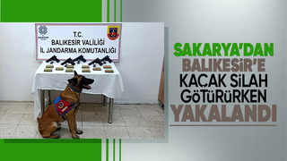 Bomba köpeği 'Vaha' kaçak silahları buldu