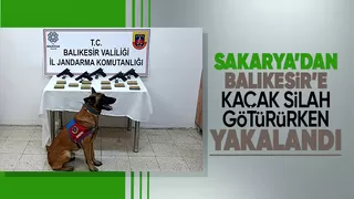 Bomba köpeği 'Vaha' kaçak silahları buldu