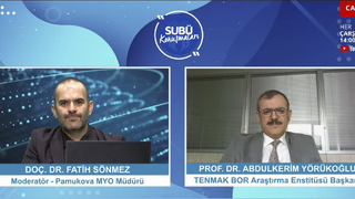 Bor bileşiklerini üretebilirsek ona değer katabiliriz