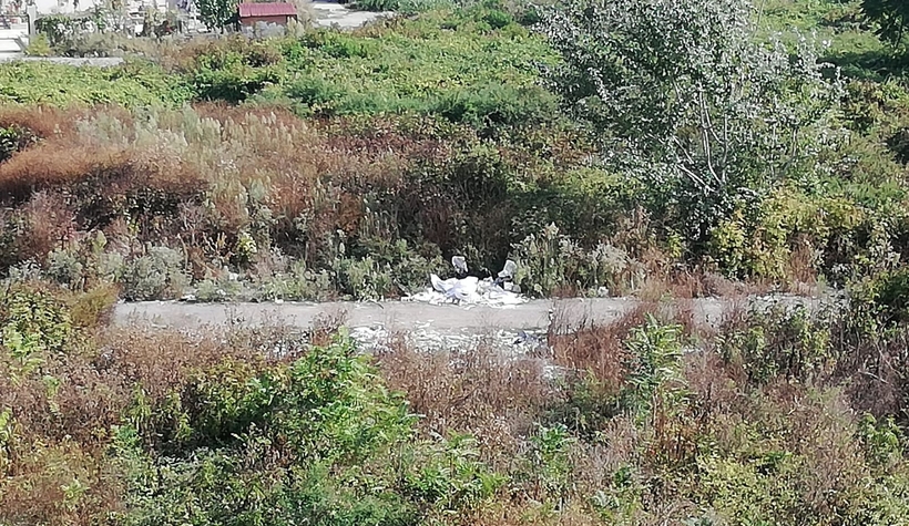 Boş arazi vatandaşların korkulu rüyası oldu