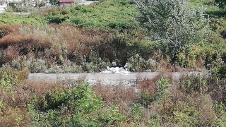 Boş arazi vatandaşların korkulu rüyası oldu