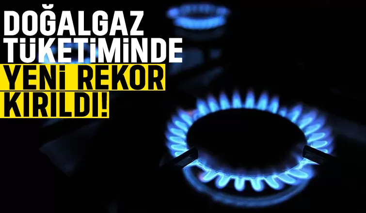 BOTAŞ'tan tarihi rekor açıklaması