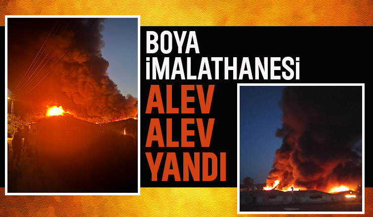 Boya imal edilen eski tavuk çiftlikleri alev alev yandı