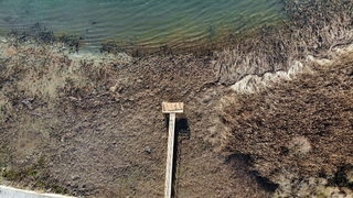 Böyle giderse Sapanca Gölü kuruyacak