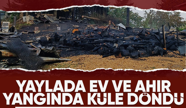 Boztepe Güzlek Yaylası'nda ev ve ahır yandı