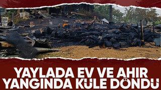 Boztepe Güzlek Yaylası'nda ev ve ahır yandı