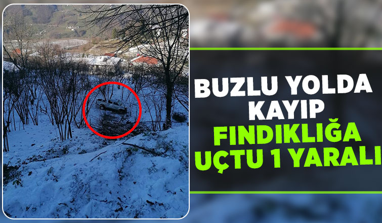 Boztepe yolunda fındıklığa uçtu