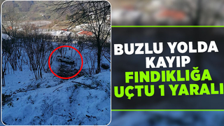 Boztepe yolunda fındıklığa uçtu