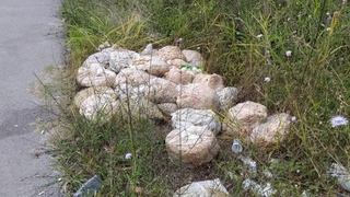 Bozuk turşular mahallenin kabusu oldu