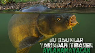 Bu balıklar yarından itibaren avlanamayacak