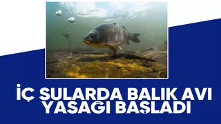 Bu balıkları avlamak yasak