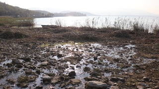 Bu fotoğraflar çekilmeyi gözler önüne serdi