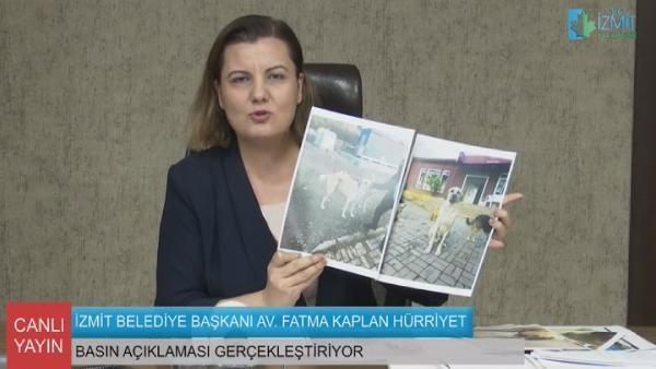 Bu iddia komşudan; Sakarya'dan ilçemize köpekler bırakılıyor