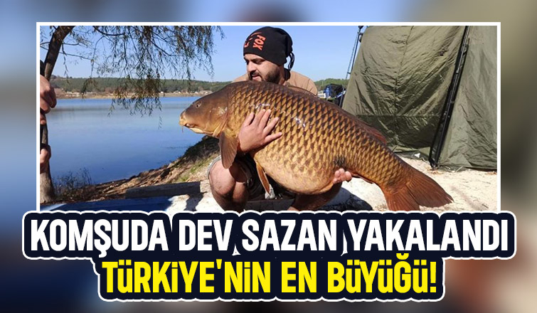 Bu kiloda hiç yakalanmamıştı: 30 kiloluk dev sazan