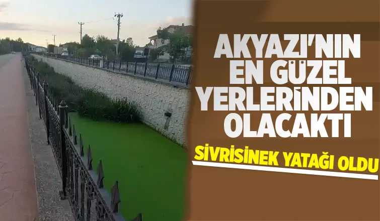 Bu şikayet Karacasu Deresi için