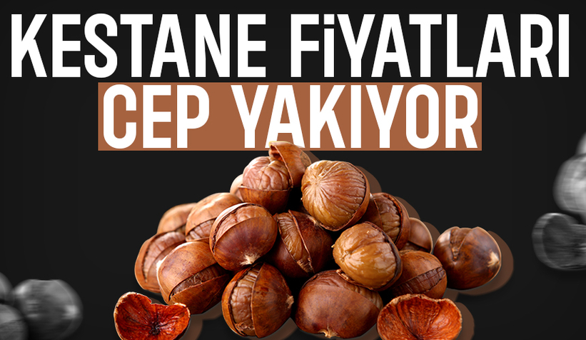 Bu yıl kestaneyi pahalıya yiyeceğiz