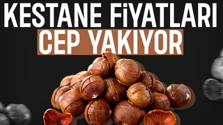 Bu yıl kestaneyi pahalıya yiyeceğiz