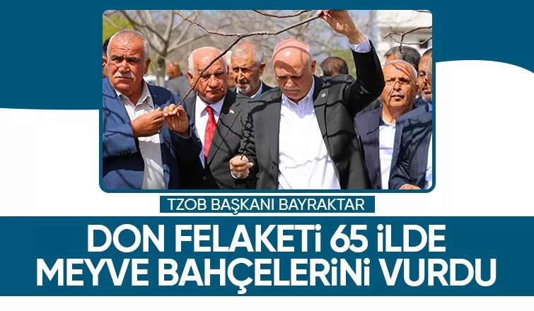 Bu yıl meyveleri pahlı yiyeceğiz; Don 65 ilde meyve bahçelerini vurdu