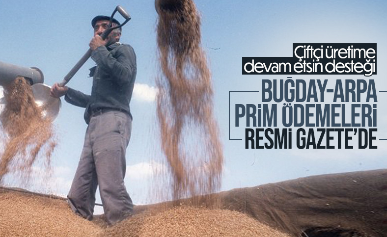 Buğday ve arpa üreticilerine destek ödemesi yapılacak