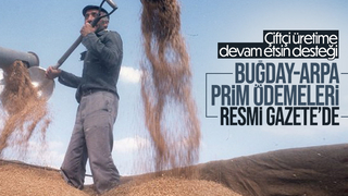 Buğday ve arpa üreticilerine destek ödemesi yapılacak