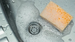 Bulaşık süngeri tehlikesi