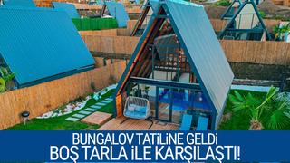 Bungalov dolandırıcılığı; Bungalov beklerken tarla ile karşılaştı