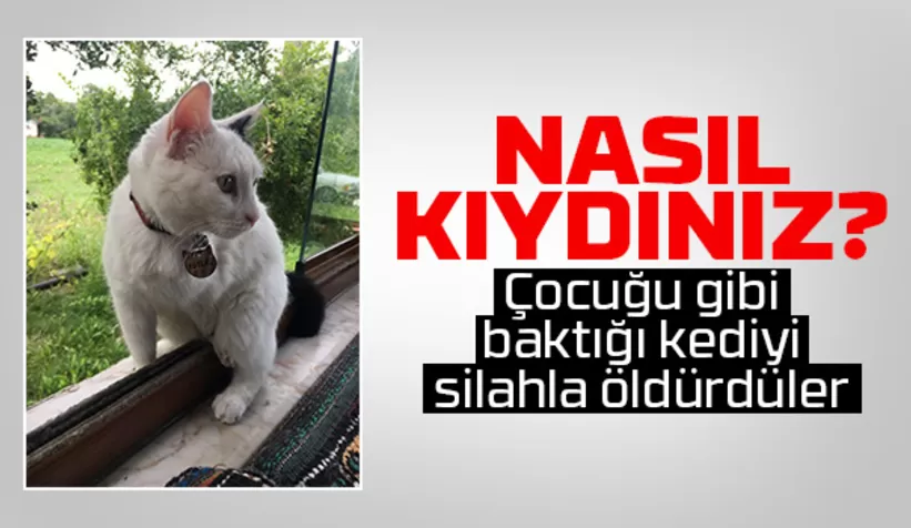 Bunu yapanı bulun