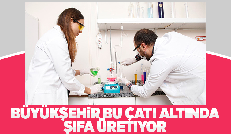 Büyükşehir 1 yılda 222 bin adet şifalı ürün üretti