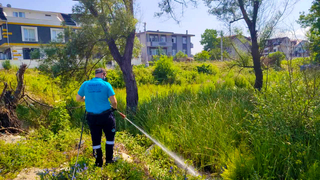 Büyükşehir 16 ilçenin tamamında vektörlerle mücadele ediyor  