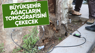 Büyükşehir ağaçlar için tomografi cihazını devreye alıyor