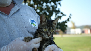 Büyükşehir başvurular için yeni uygulamayı hizmete aldı