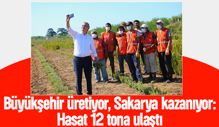 Büyükşehir biberiye üretiminde 12 tona ulaştı