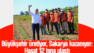 Büyükşehir biberiye üretiminde 12 tona ulaştı