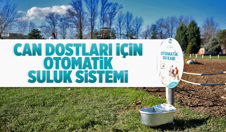 Büyükşehir can dostların hep yanında