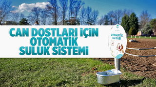 Büyükşehir can dostların hep yanında