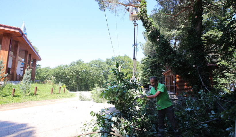 Büyükşehir dokundu, İl Ormanı’nın çehresi değişti