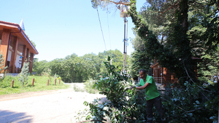 Büyükşehir dokundu, İl Ormanı’nın çehresi değişti