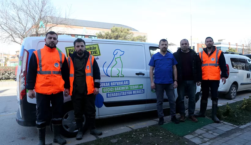 Büyükşehir enkazdan kurtarılan can dostlara şifa olacak