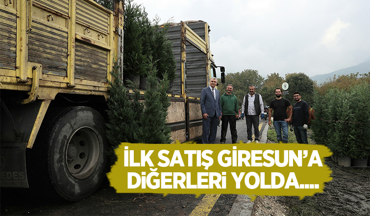 Büyükşehir fabrika gibi; İlk satış Giresun'a