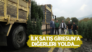 Büyükşehir fabrika gibi; İlk satış Giresun'a