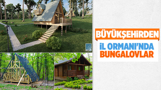 Büyükşehir'in bungalovları tabiatın kalbinde yükseliyor