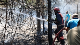 Büyükşehir İtfaiyesinden yangın bölgelerinde tüm gücüyle müdahalede