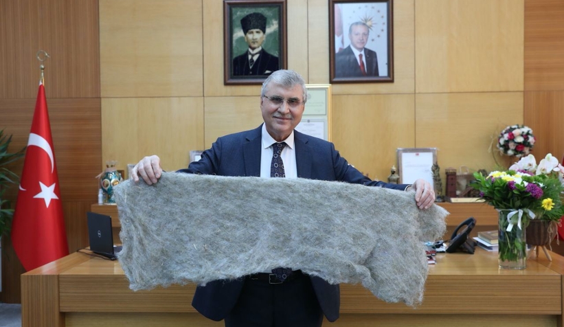 Büyükşehir kenevirden iç çamaşırı üretecek