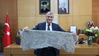 Büyükşehir kenevirden iç çamaşırı üretecek