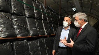 Büyükşehir mantar üretimine başladı