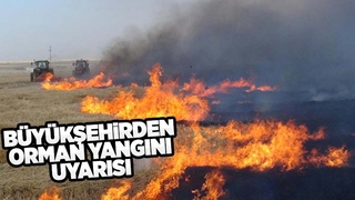 Büyükşehir orman yangınlarına karşı uyarıyor