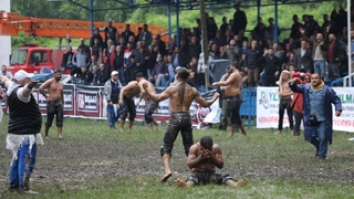 Büyükşehir pehlivanlarından madalya yağmuru